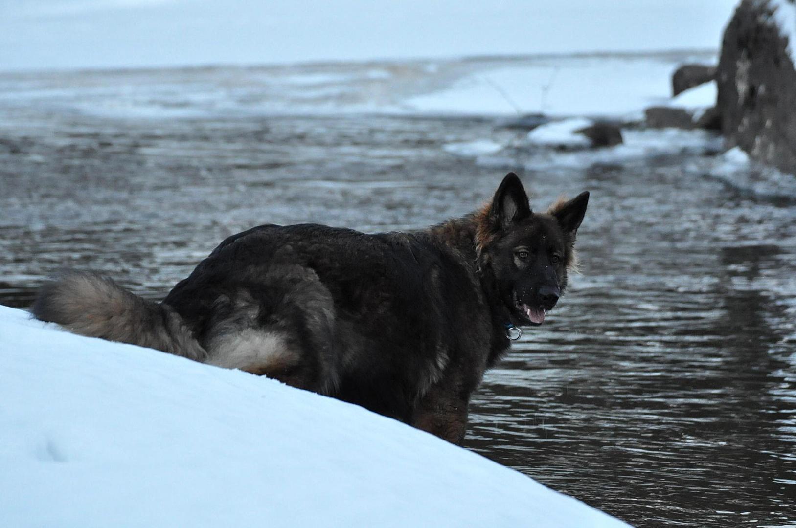 DSC_0780.JPG