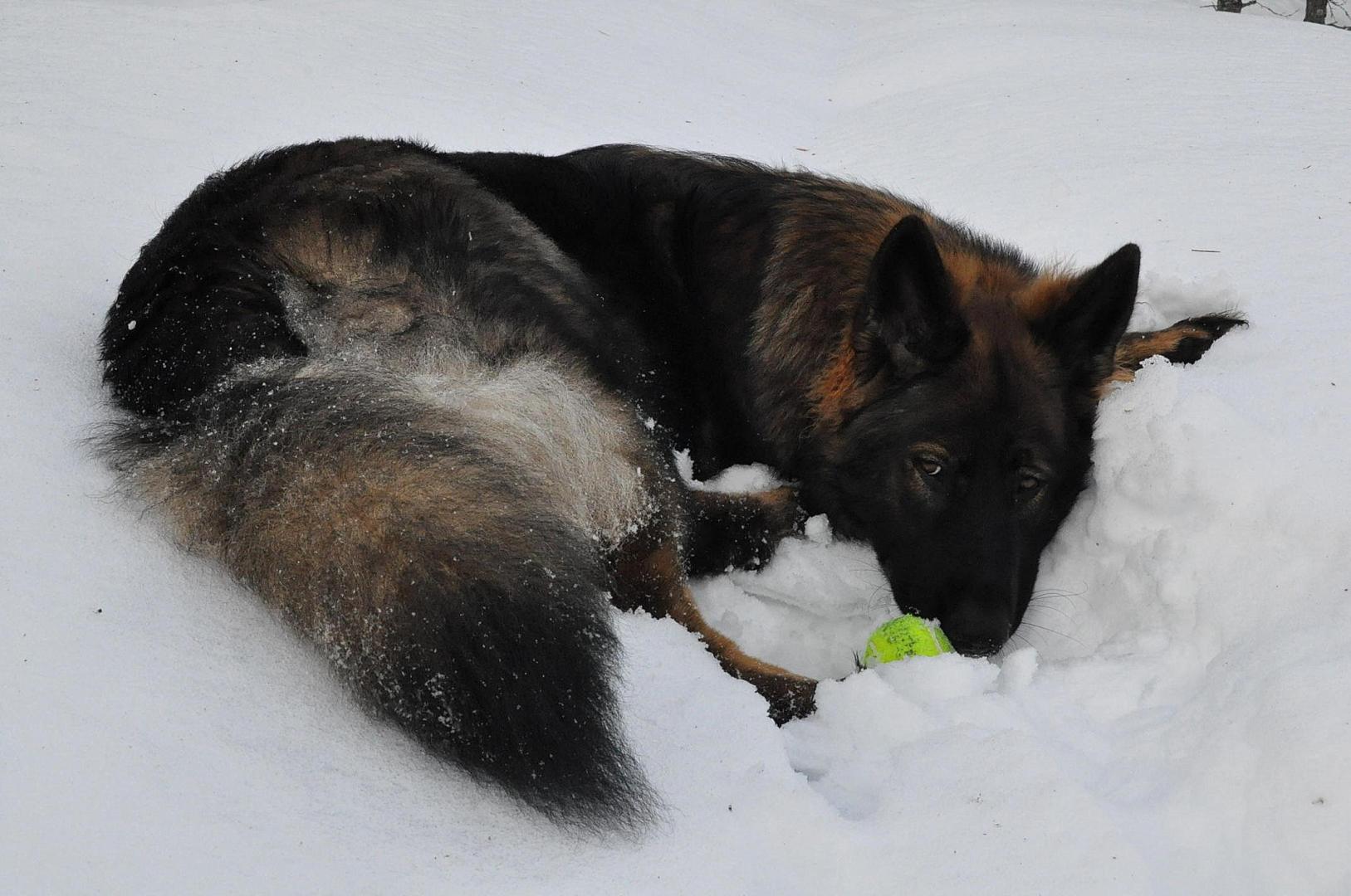 DSC_0034.JPG