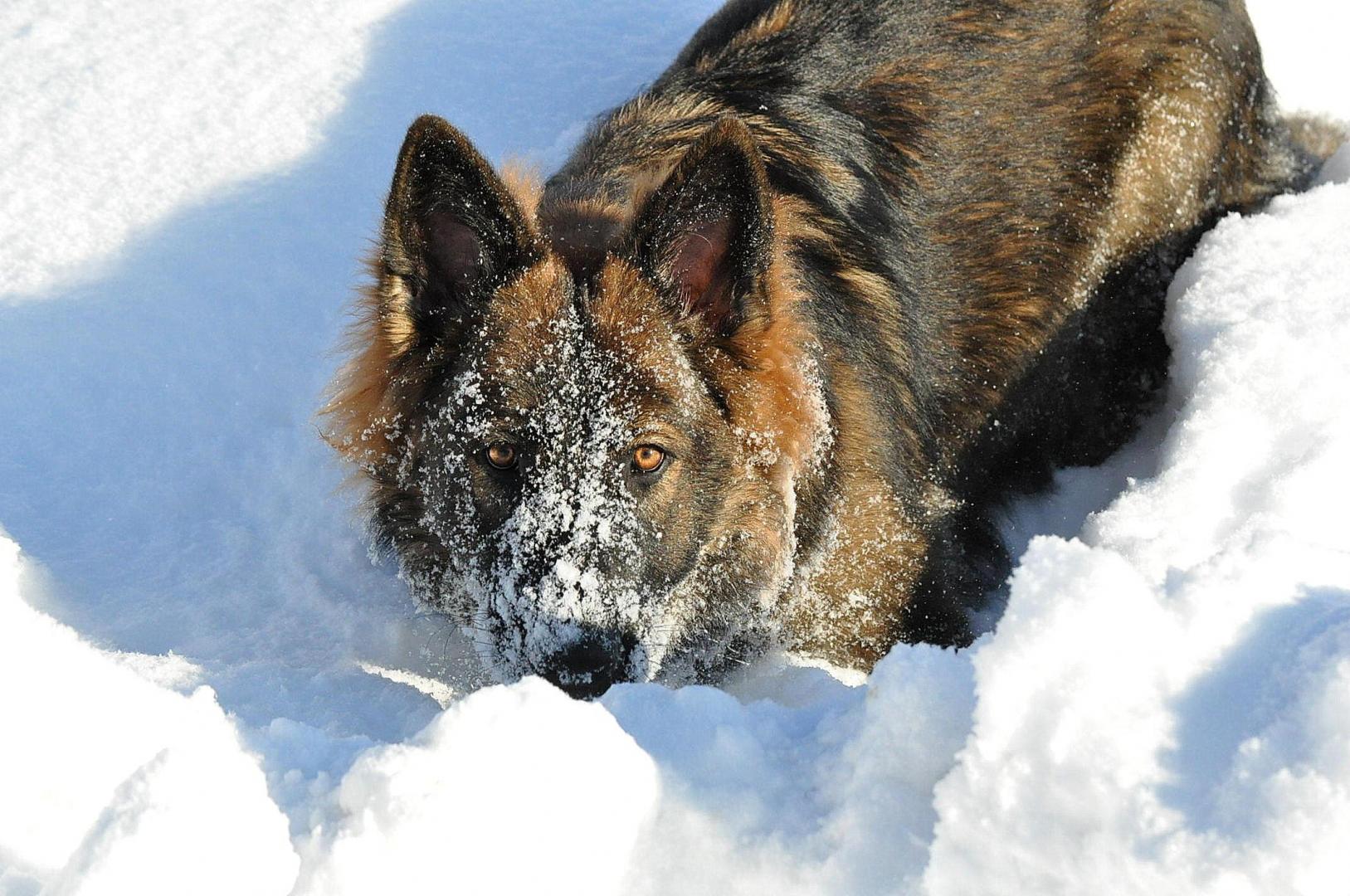 DSC_0051.JPG