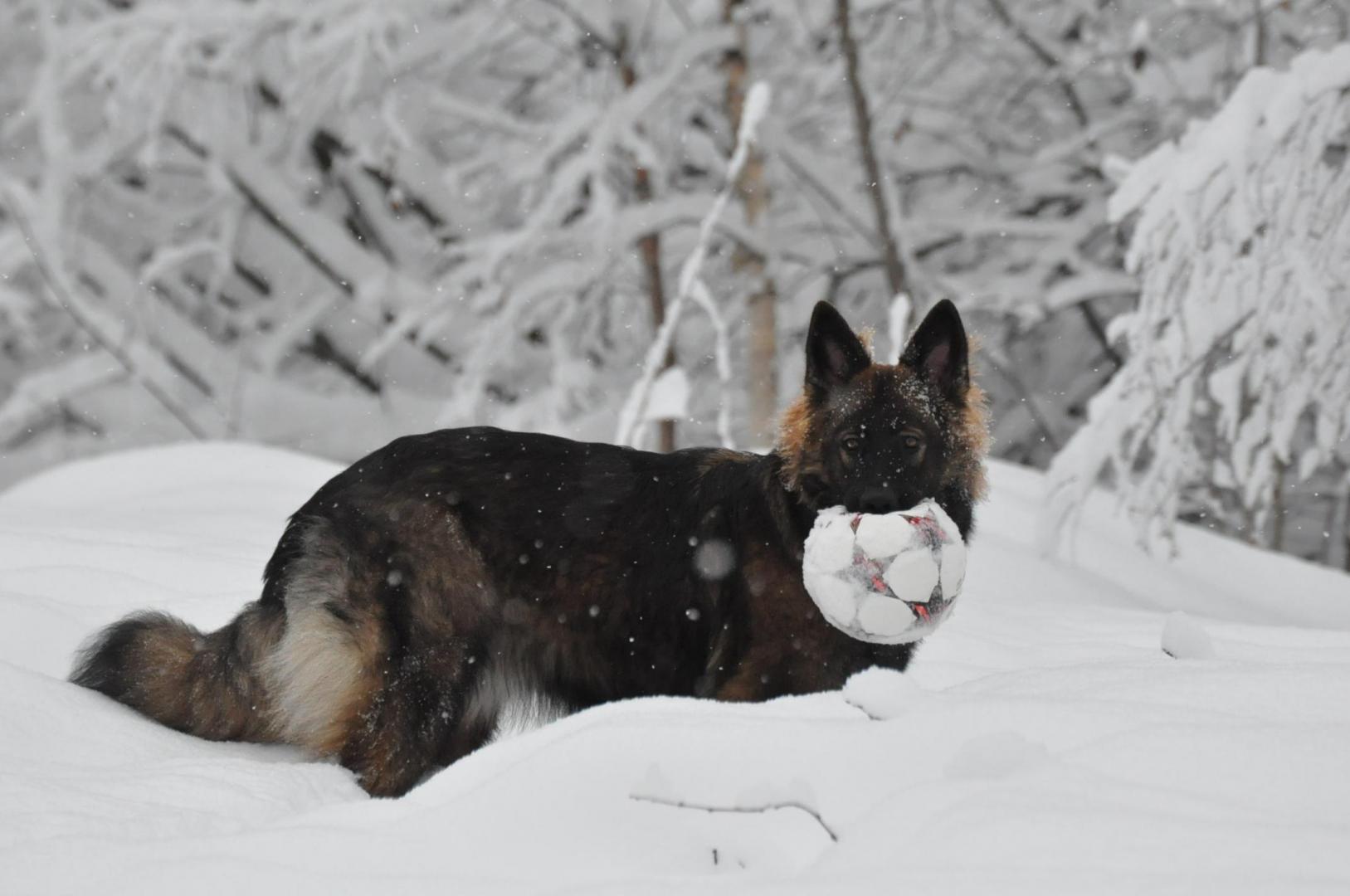 DSC_0055.JPG