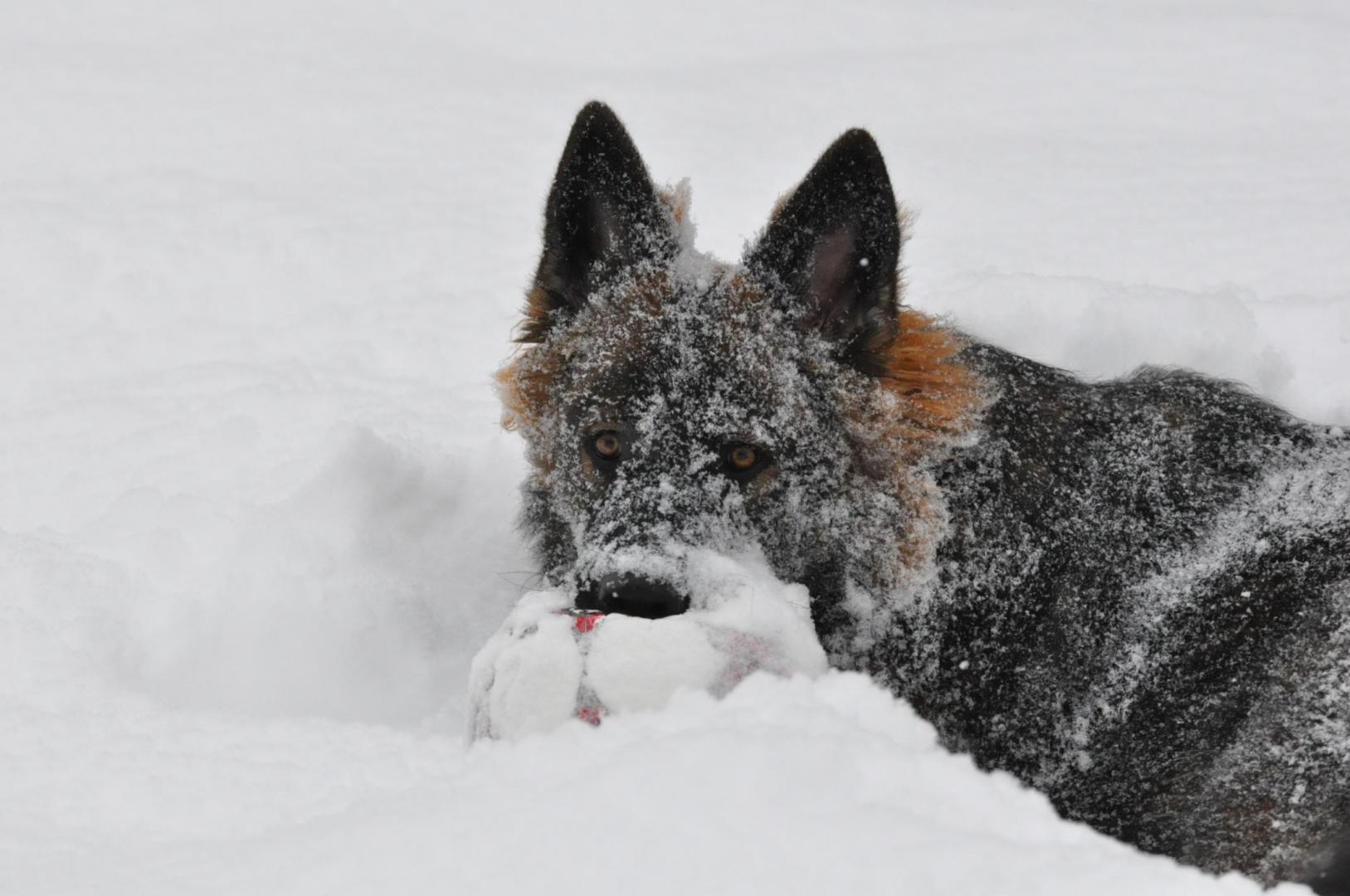 DSC_0069.JPG