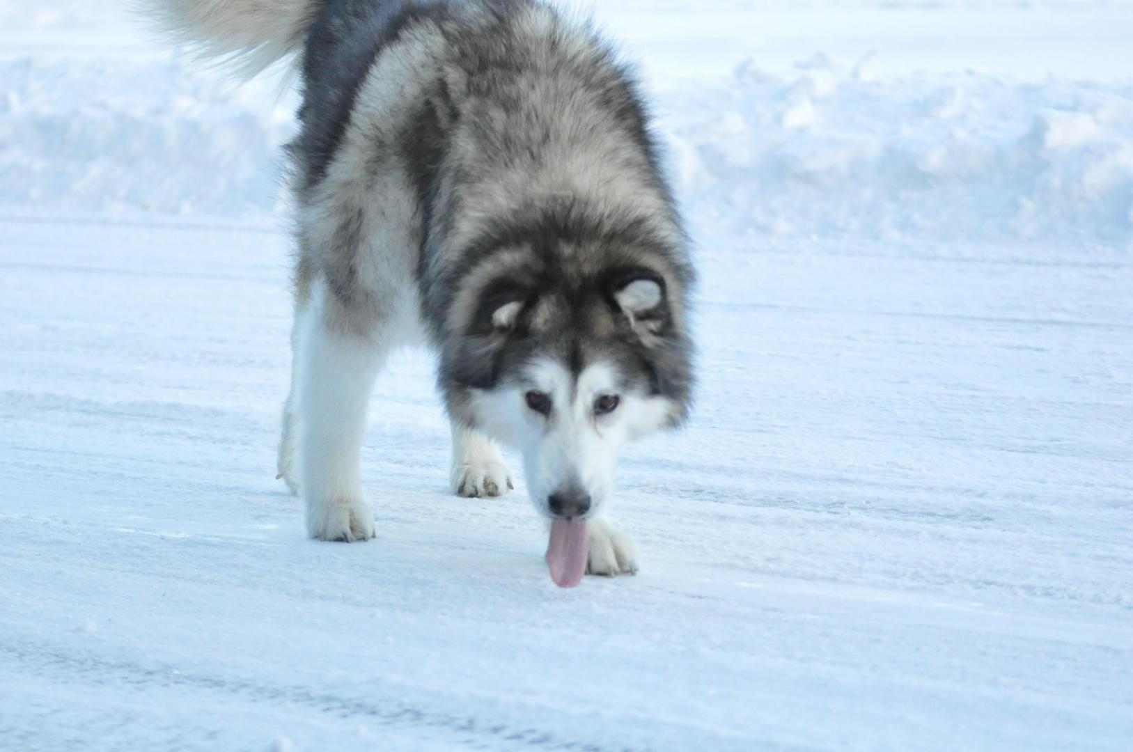 DSC_0072.JPG