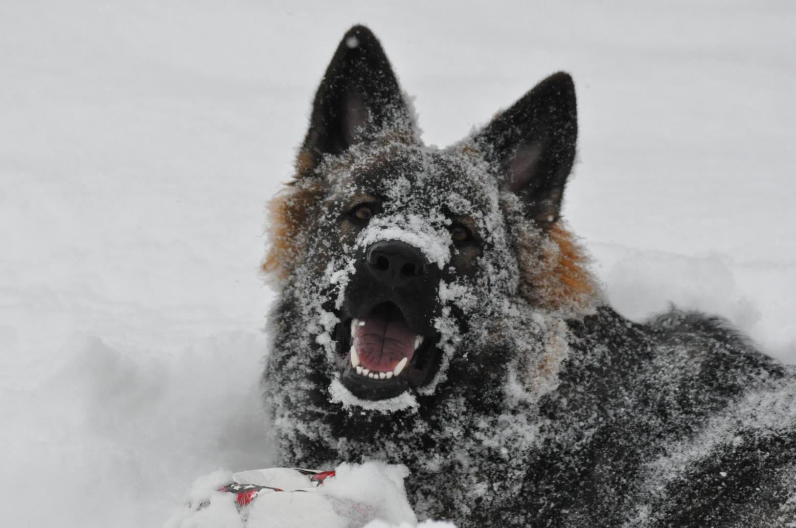 DSC_0086.JPG