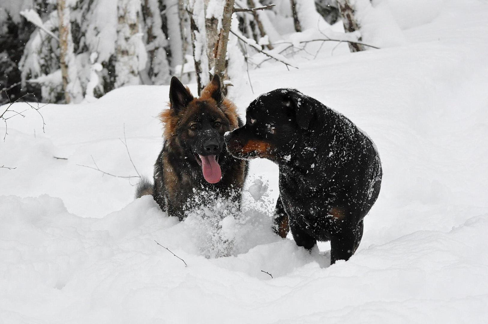 DSC_0095.JPG