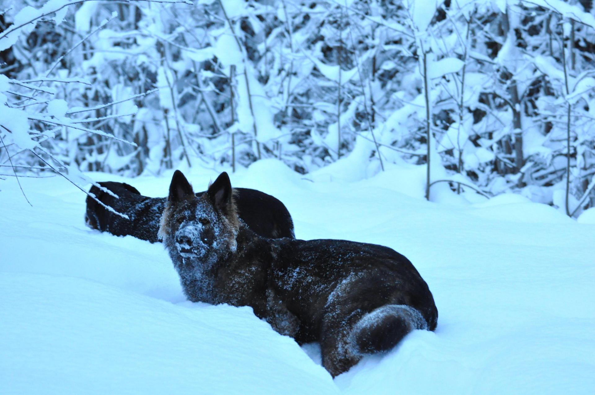DSC_0099.JPG