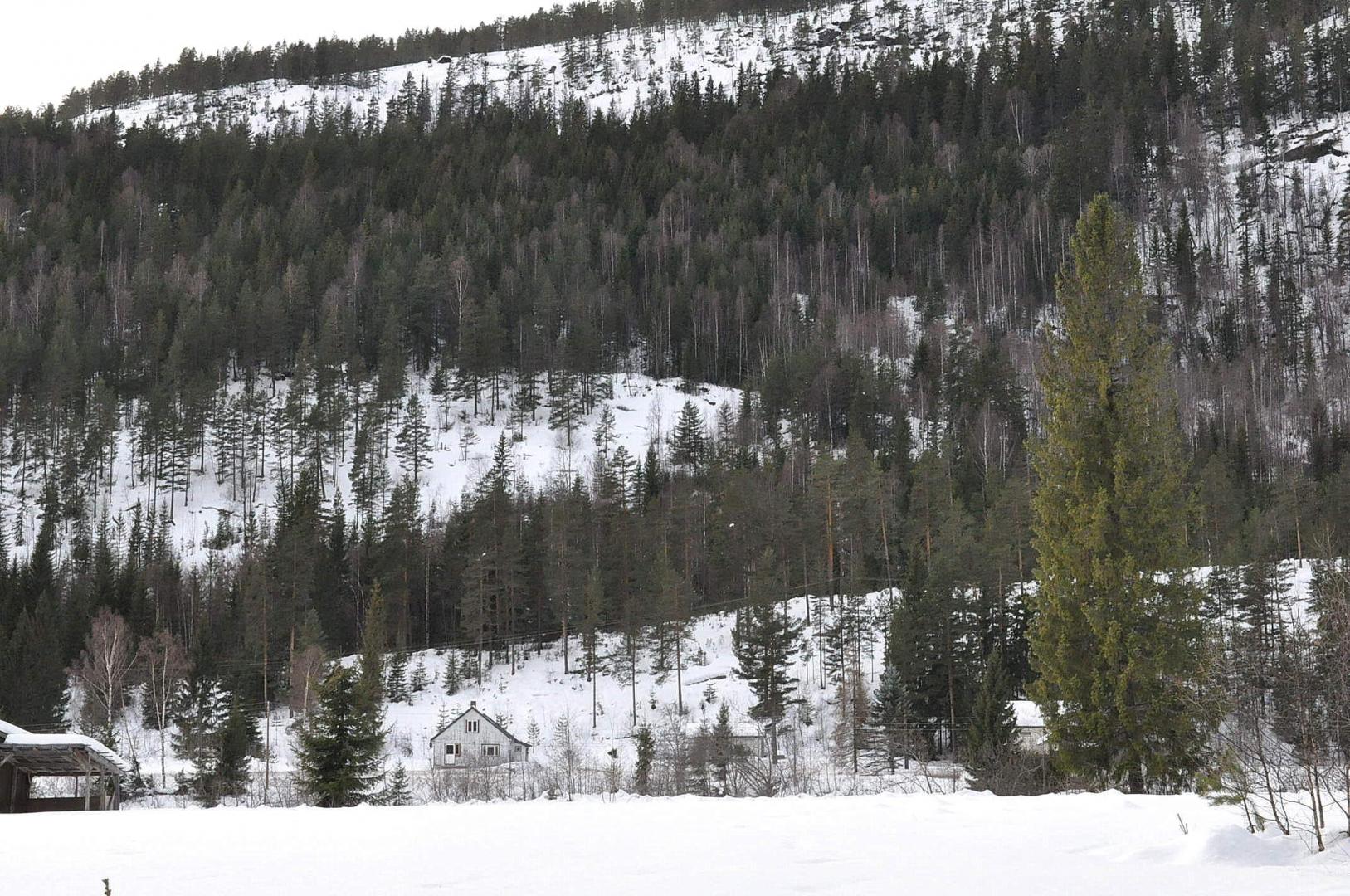 DSC_0106.JPG