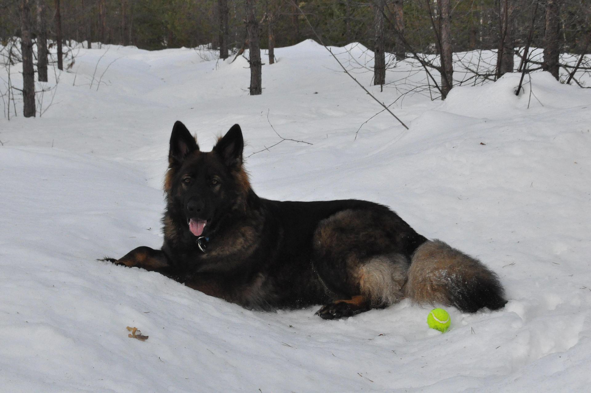 DSC_0106a.JPG