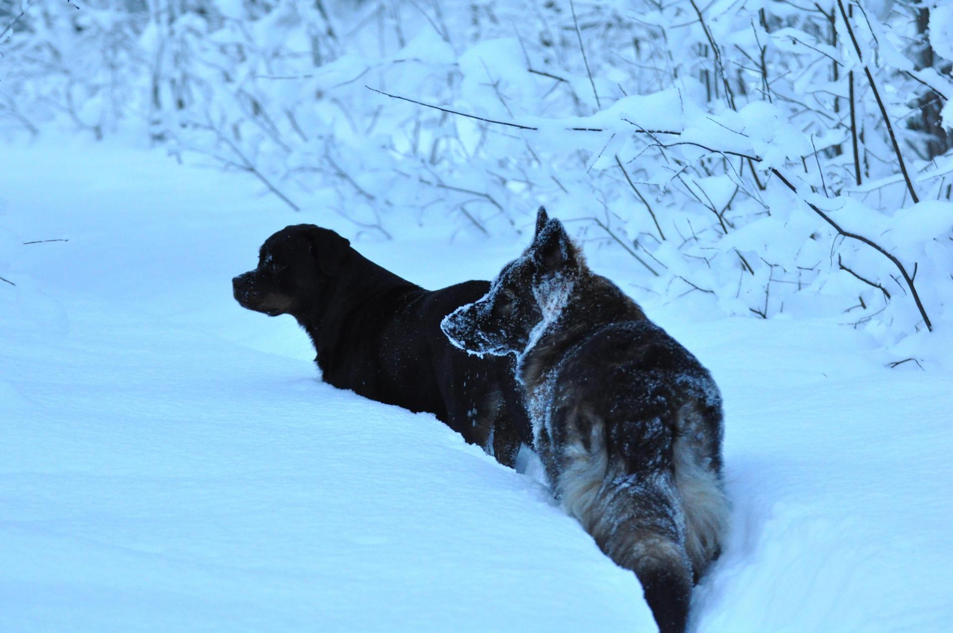 DSC_0130.JPG