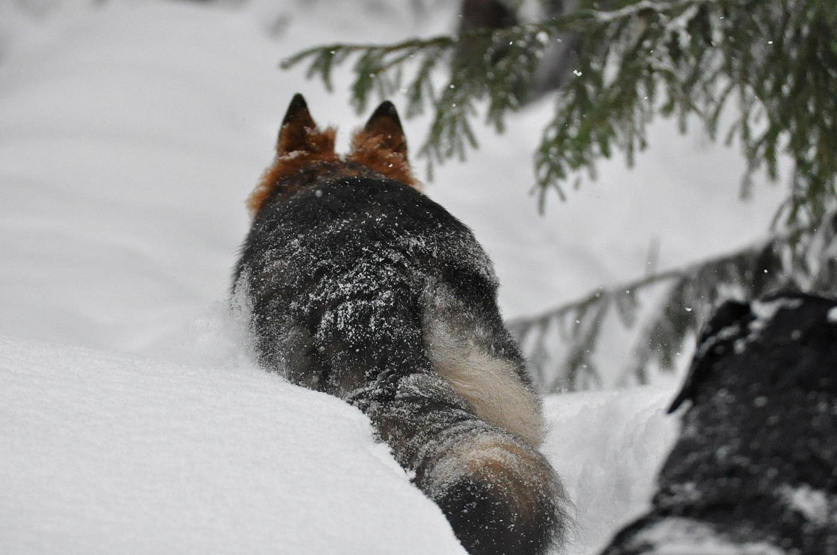 DSC_0141.JPG