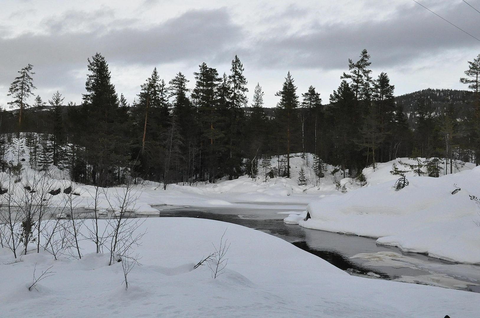 DSC_0193.JPG