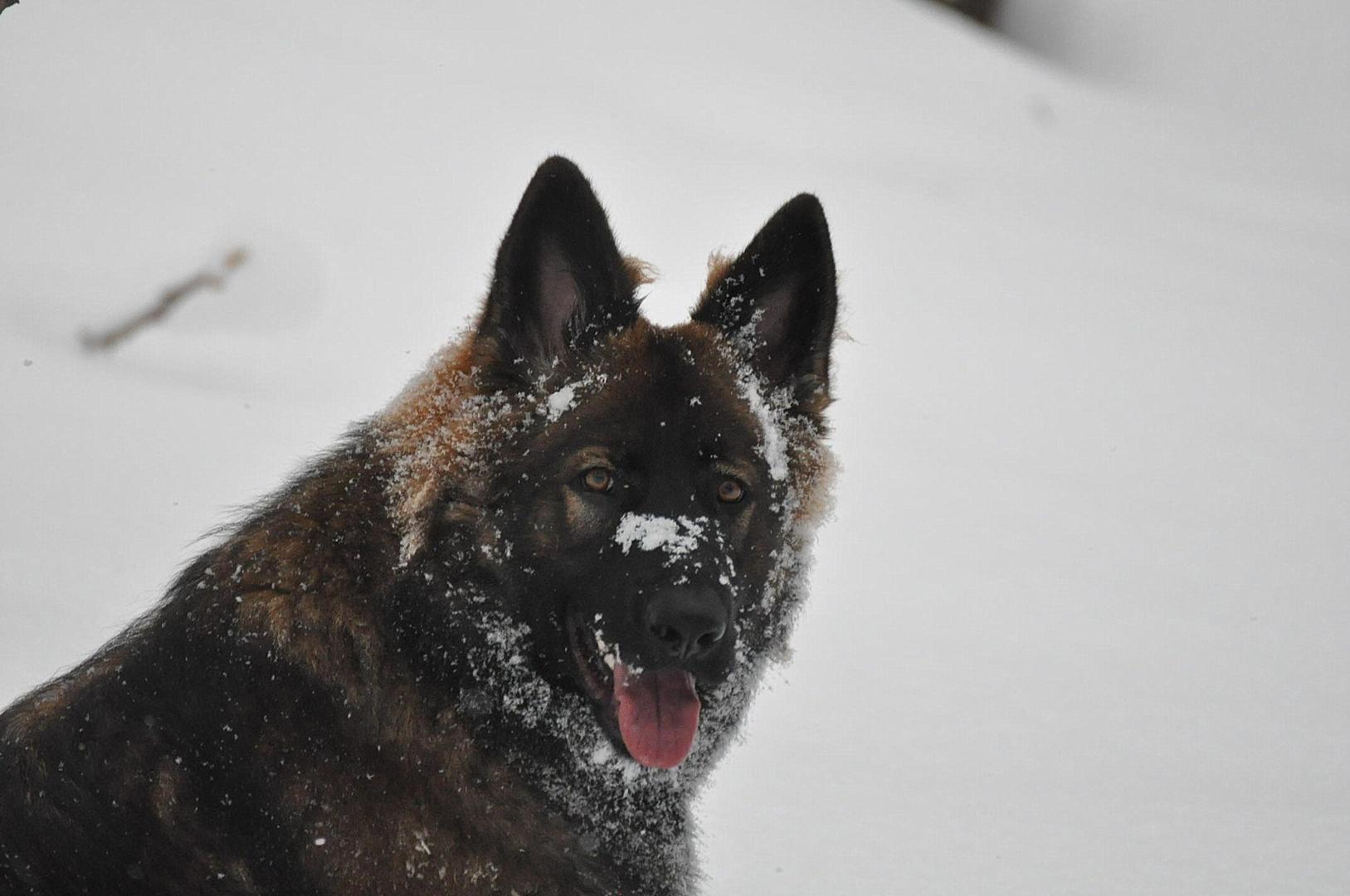DSC_0208.JPG