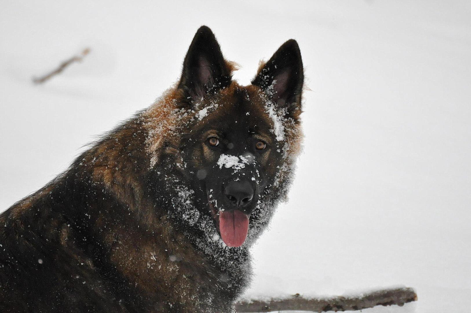 DSC_0214.JPG