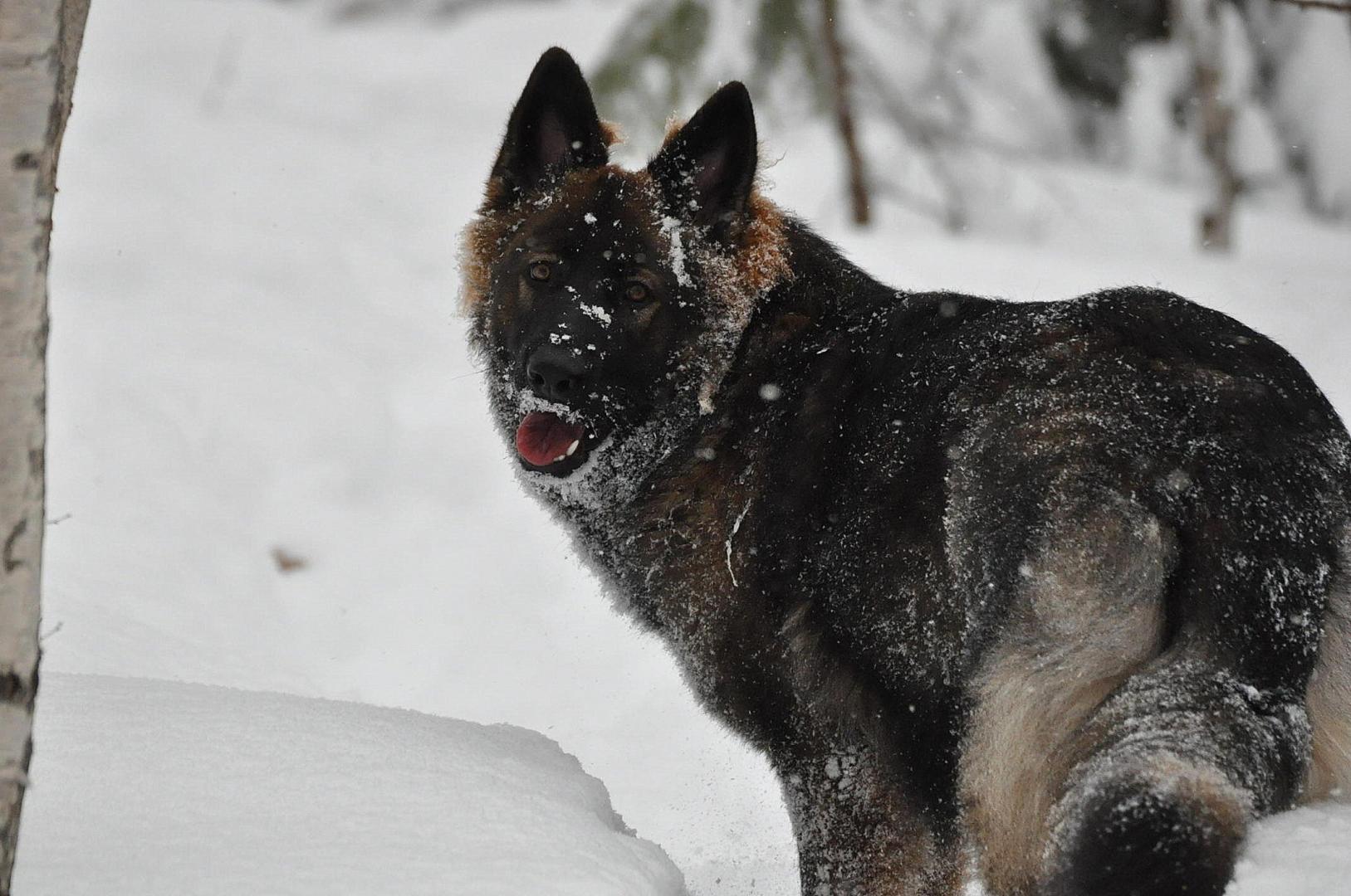 DSC_0218.JPG