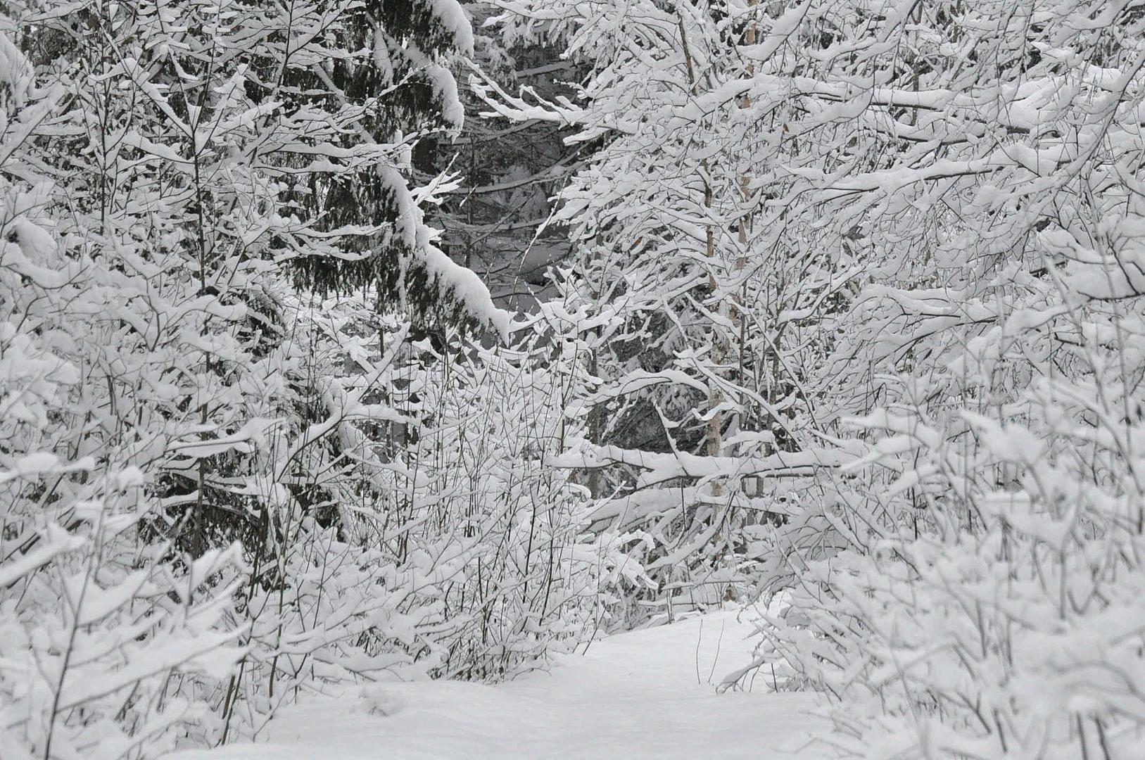 DSC_0234.JPG