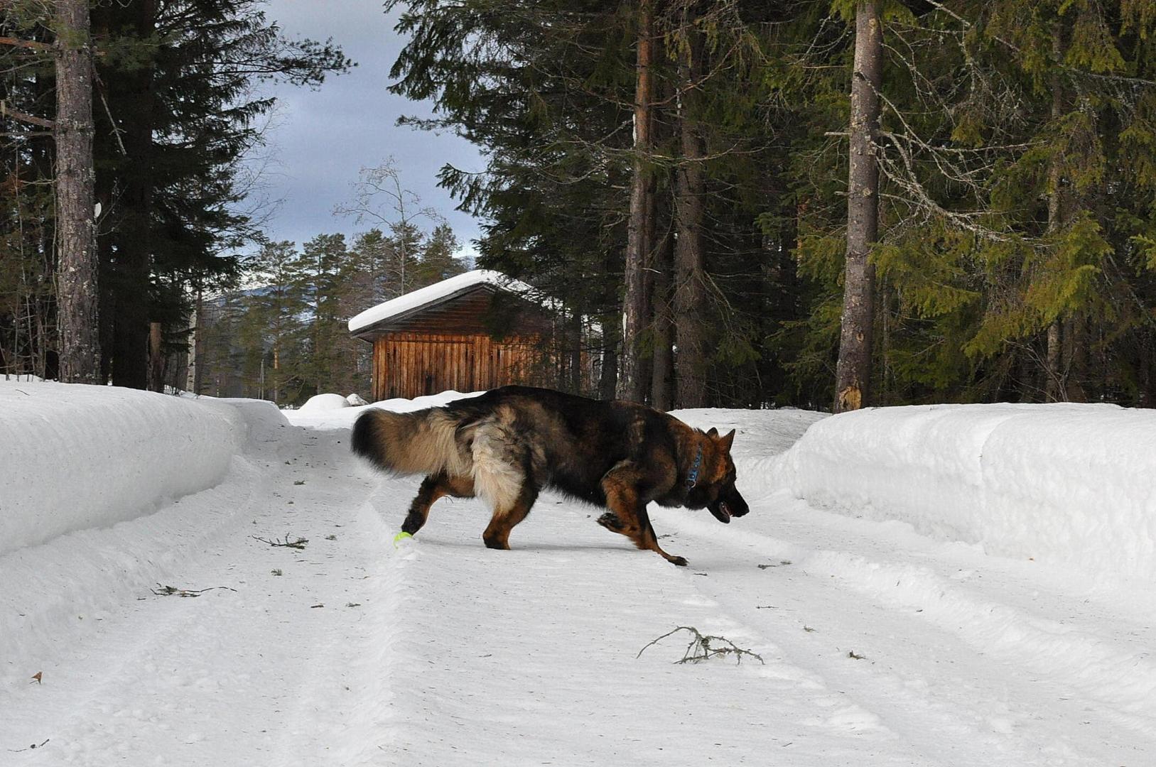 DSC_0262.JPG