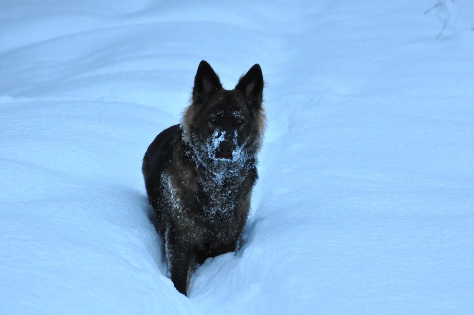 DSC_0348.JPG