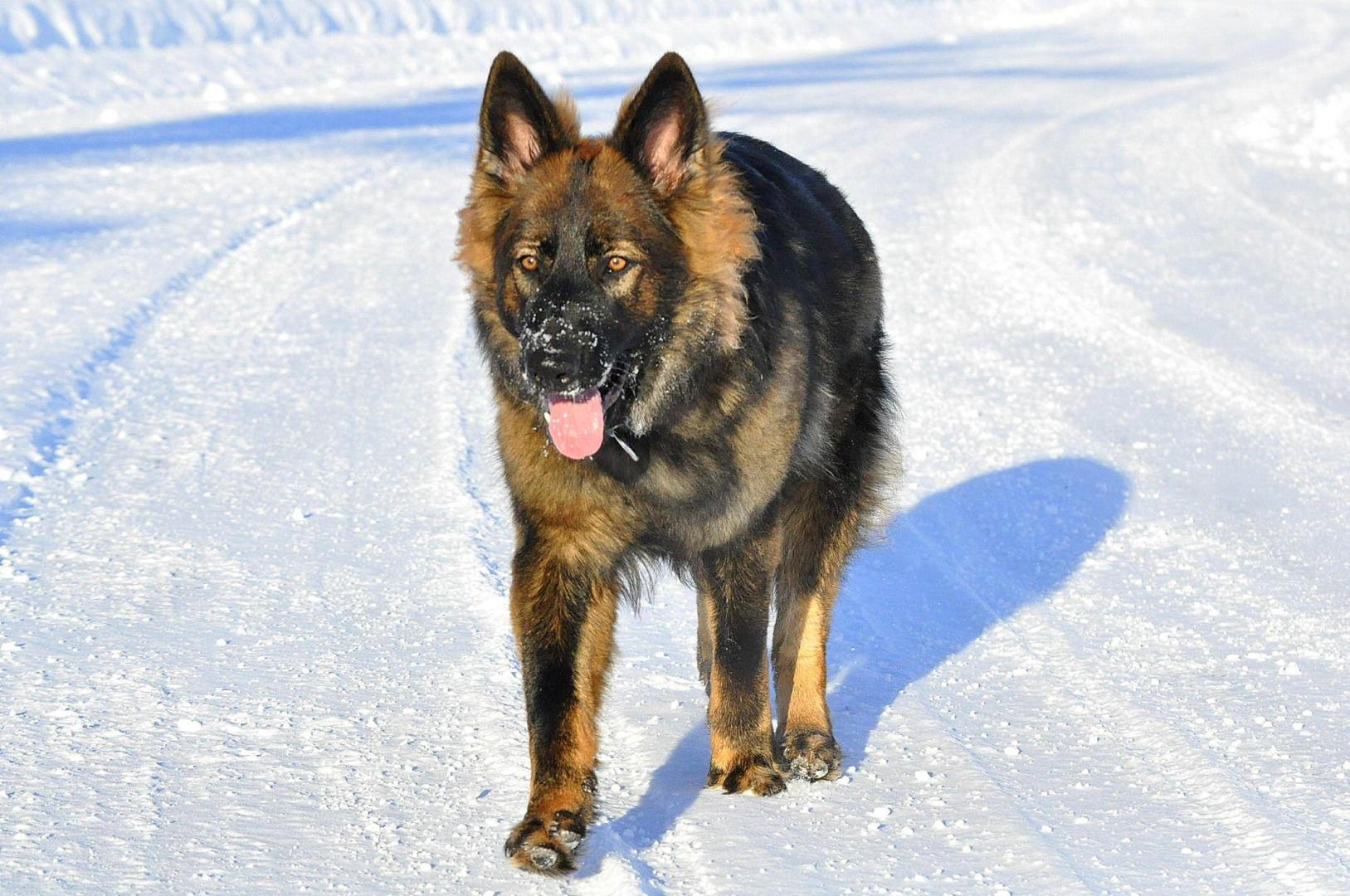DSC_0407.JPG