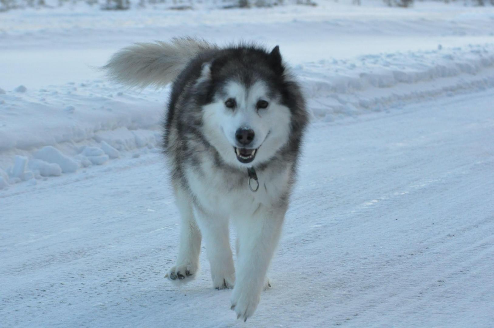 DSC_0468.JPG