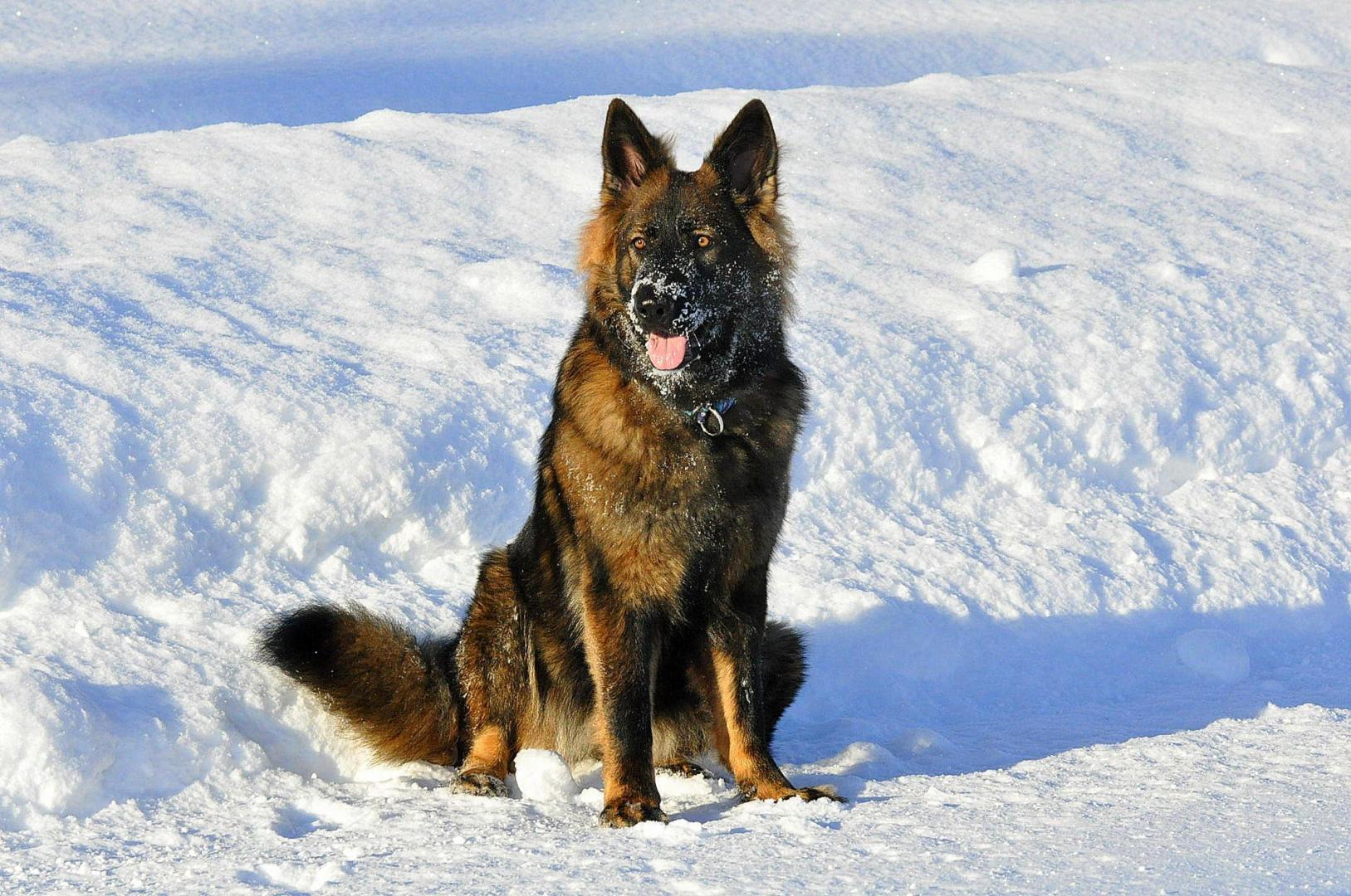 DSC_0497.JPG