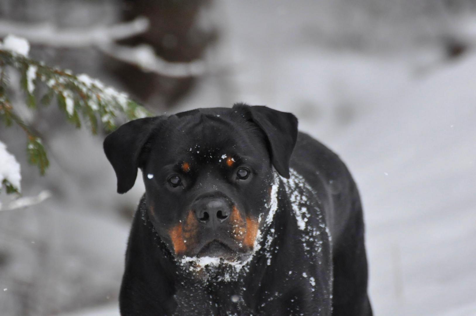 DSC_0520.JPG
