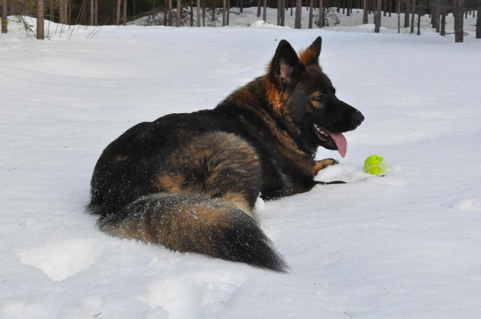 DSC_0578.JPG