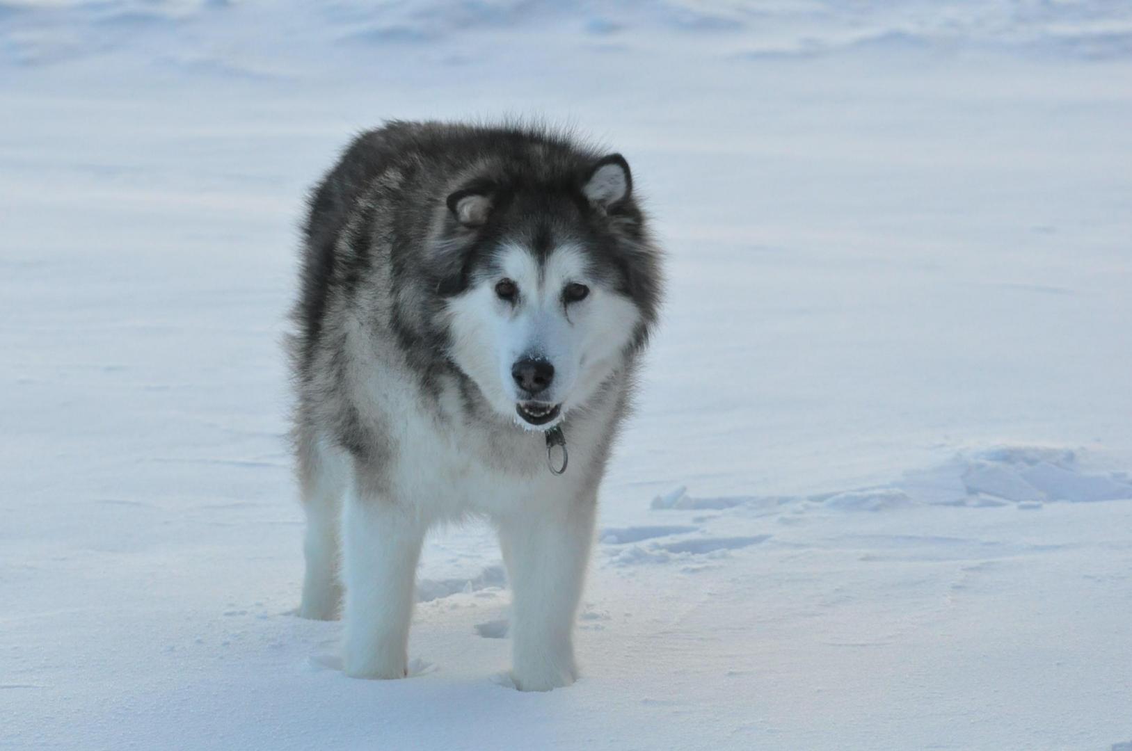 DSC_0602.JPG