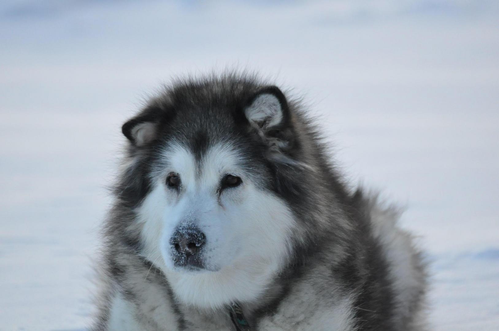 DSC_0636.JPG