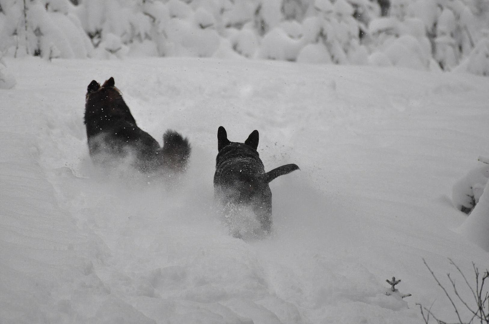 DSC_0724.JPG