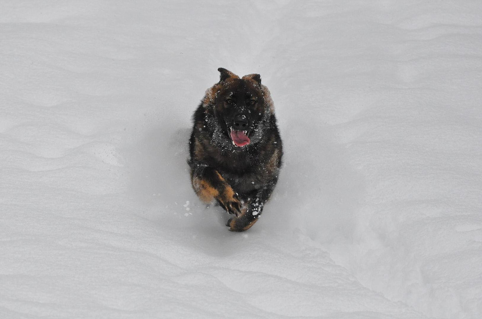 DSC_0786.JPG