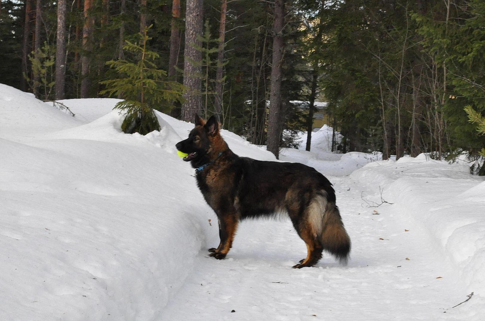 DSC_0892a.JPG