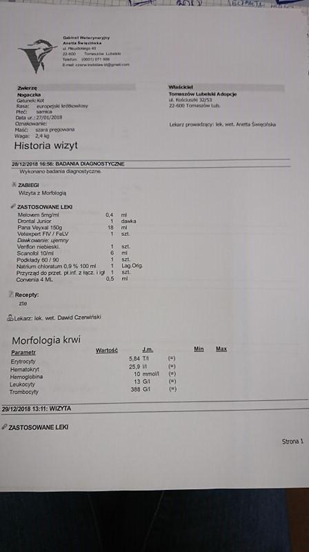 stasia36.jpg.c03e451343ebf37d60c849098d259700.jpg