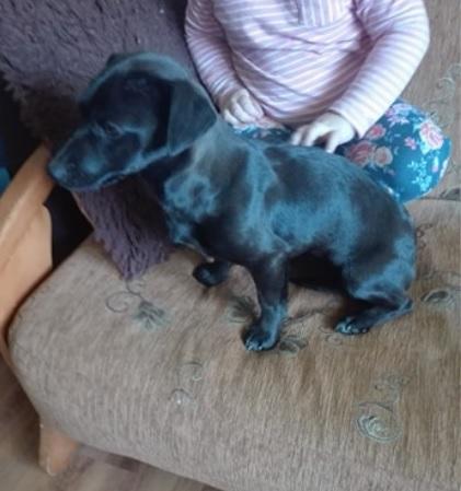 kama1.jpg.b2028553835255c3f4b948b8687df402.jpg