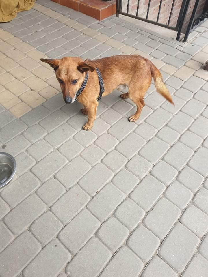 received_2356478467697578.jpeg.377f0adc2f29c953146715004eecad02.jpeg