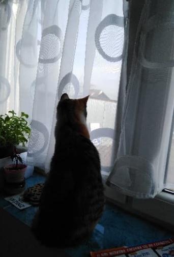 z.jpg.515e487ade1f3c7cd7f14343c1fb1476.jpg