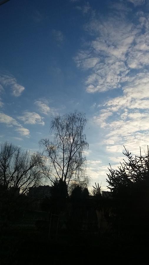 20190401_070324.jpg.01a3d75bacf6540d43aac4993aa1d88e.jpg