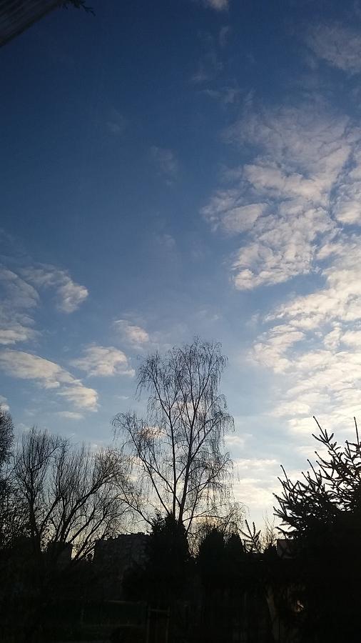 20190401_070352.jpg.92cb438a593db3384f4f068e792848c8.jpg