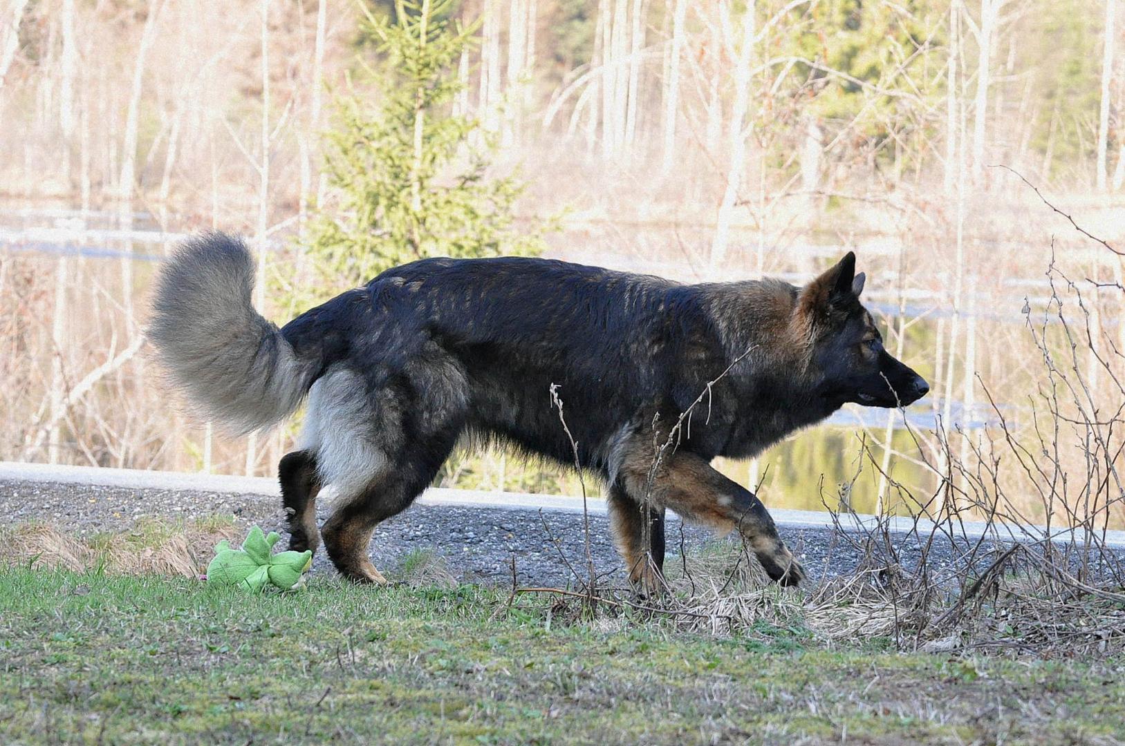 DSC_0407.JPG