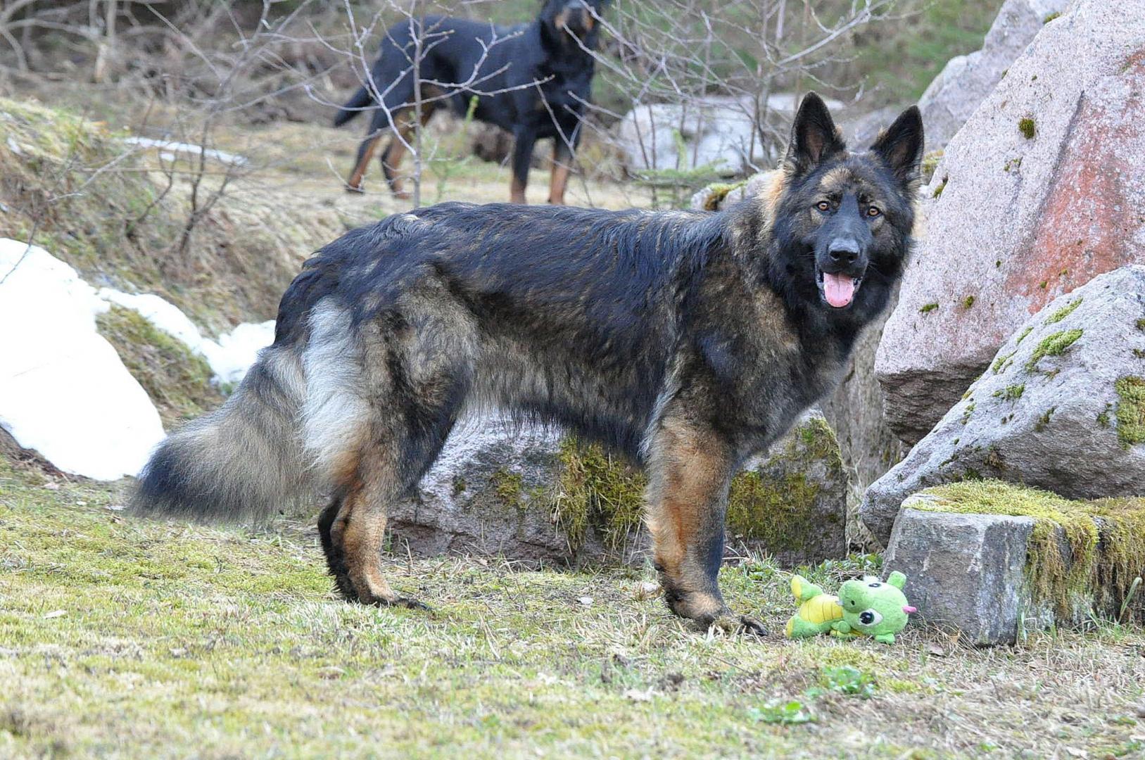 DSC_0457.JPG