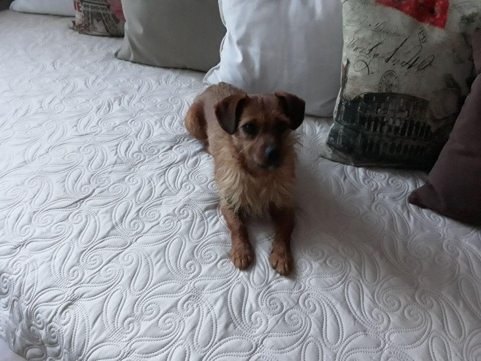 Resized_20190402_191832_6947.jpeg.f4c0ded943c34b586e36f4c3fa00f246.jpeg