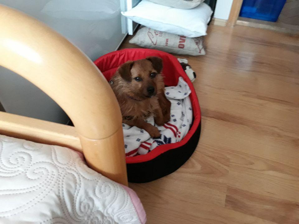 Resized_20190403_074821_4889.jpeg.9dd7937dc97530d707359b2f4c526137.jpeg