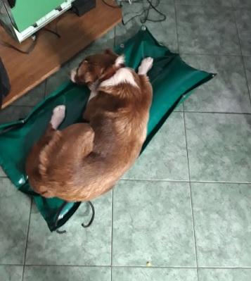 maja25.jpg.ce5fdad08e2c1cd63c38e5dfb3746d45.jpg