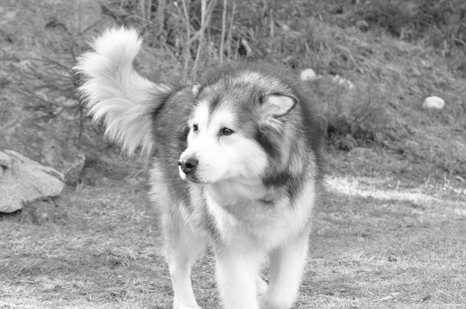 DSC_0028.JPG