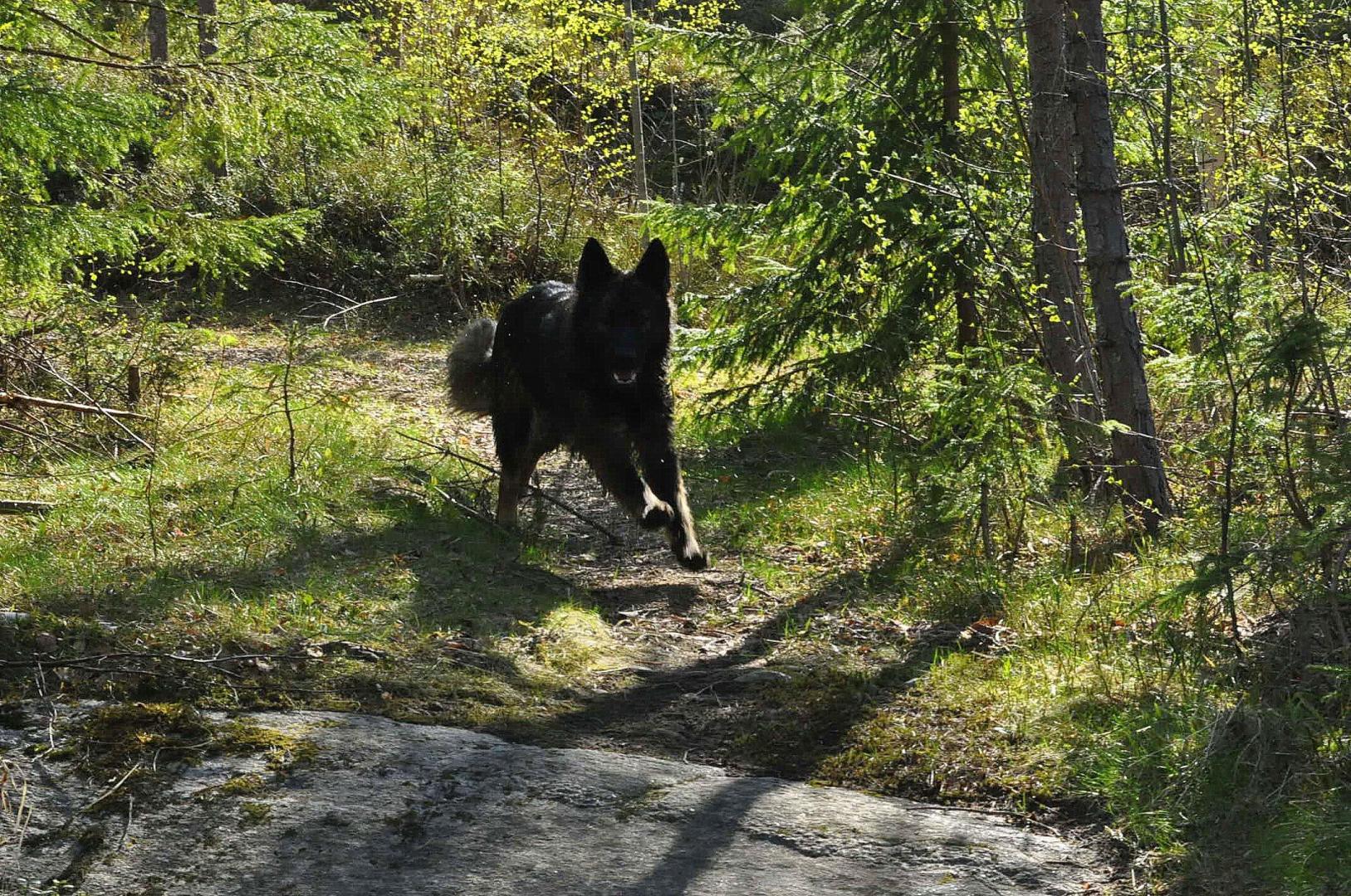DSC_0043.JPG
