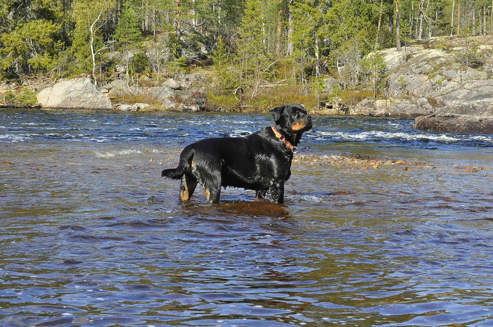 DSC_0335.JPG
