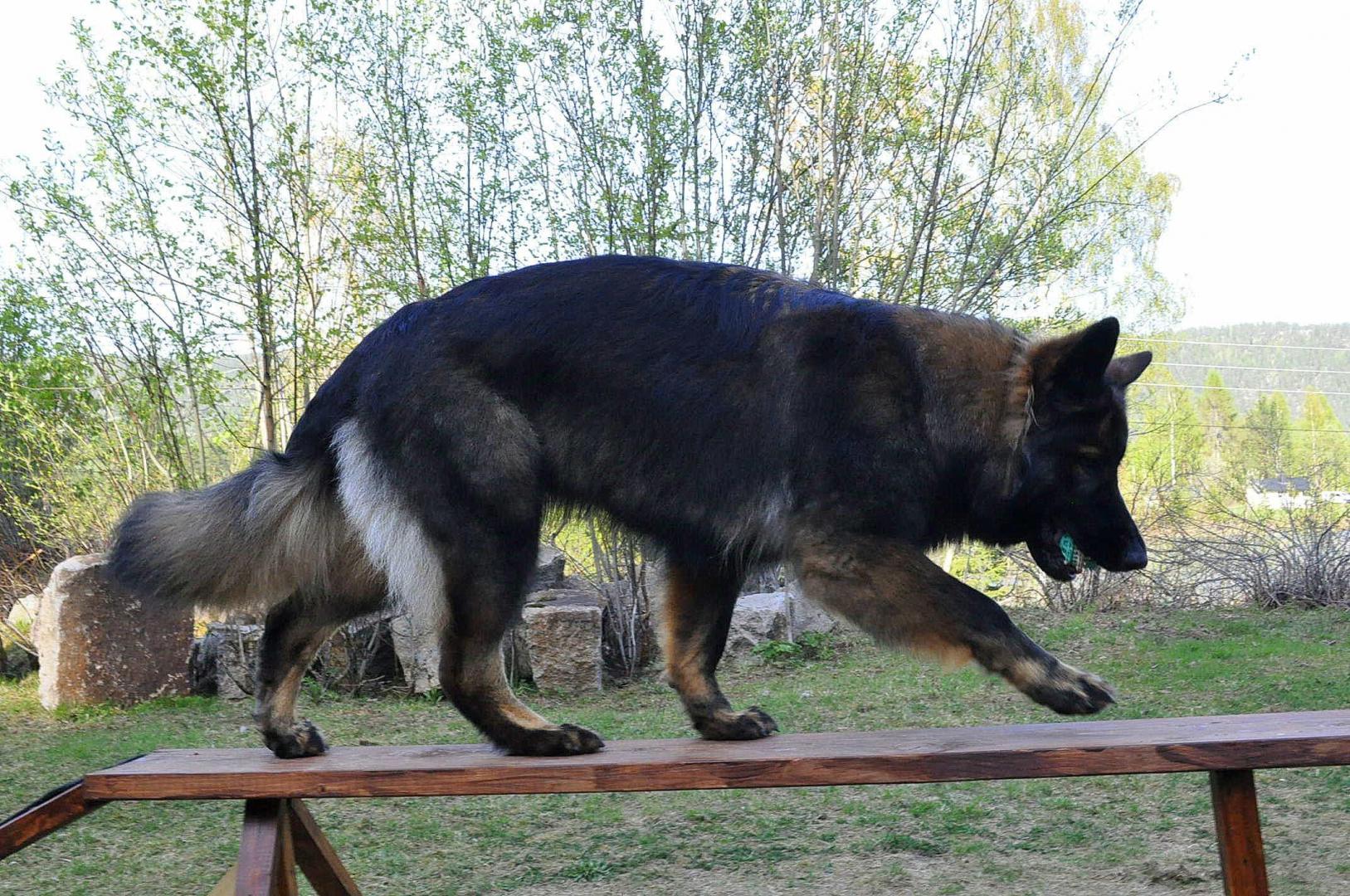 DSC_0407.JPG