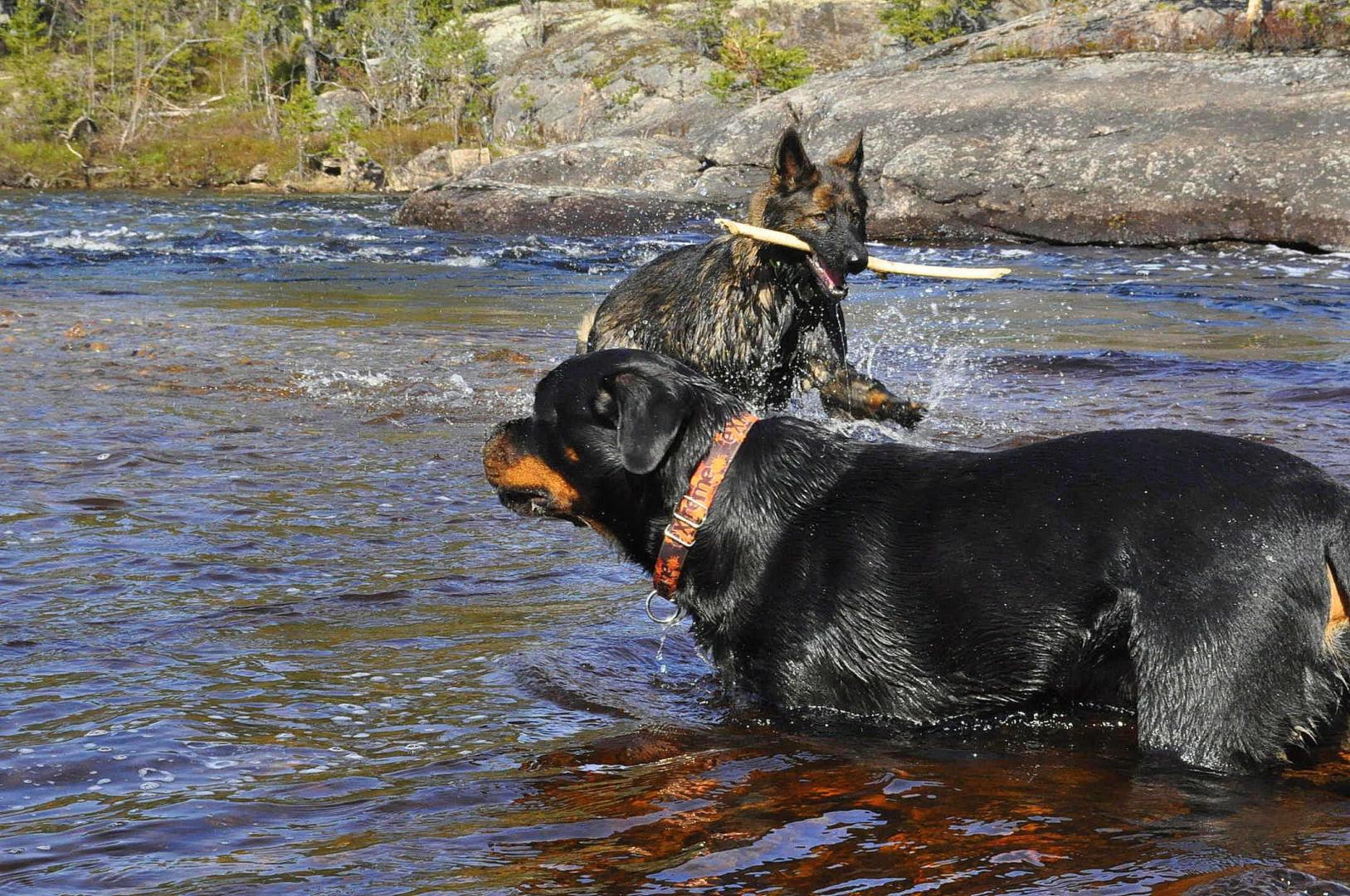 DSC_0525.JPG