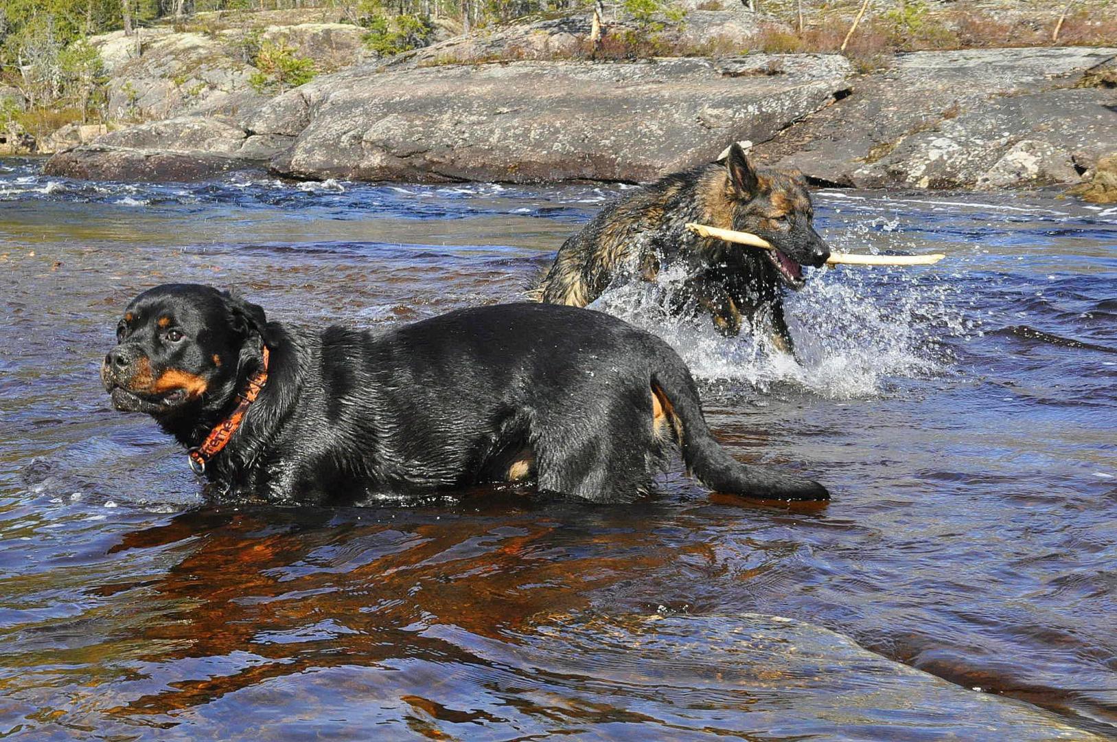 DSC_0528.JPG