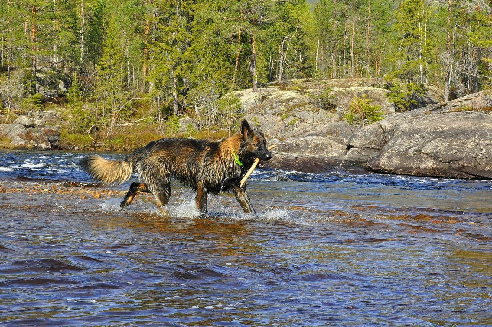 DSC_0622.JPG