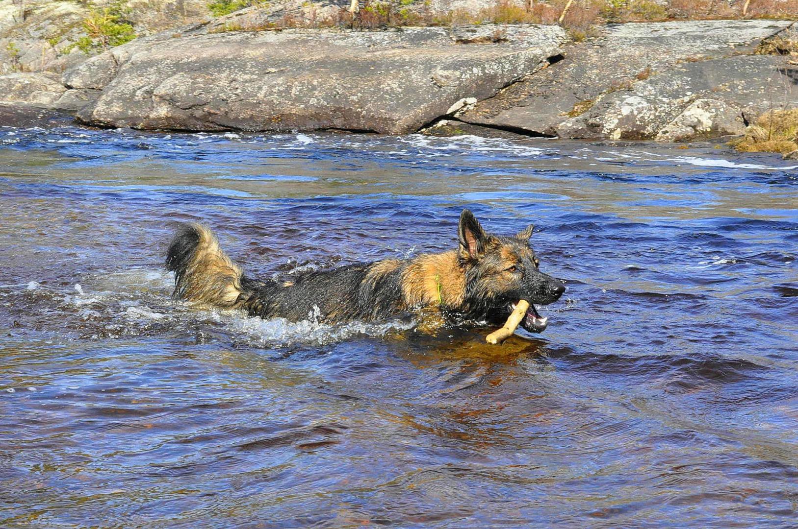 DSC_0709.JPG