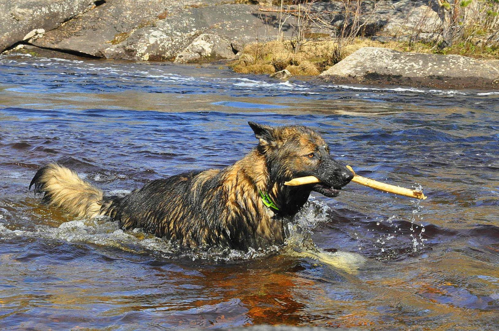 DSC_0812.JPG